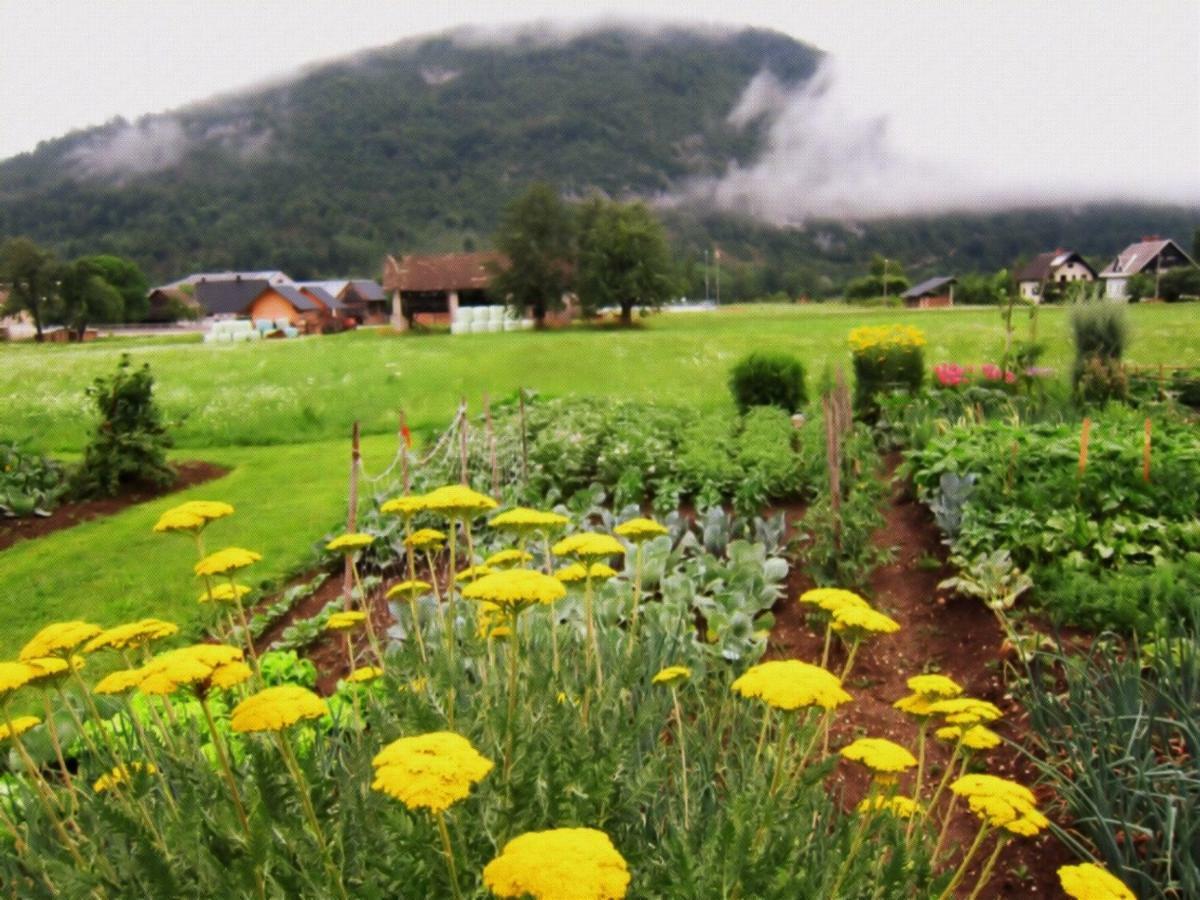 Casa Bohinj Διαμέρισμα Εξωτερικό φωτογραφία