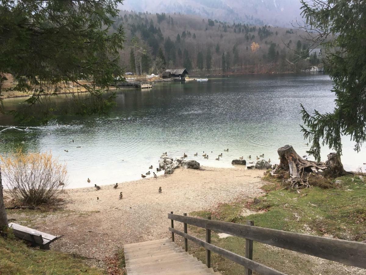 Casa Bohinj Διαμέρισμα Εξωτερικό φωτογραφία