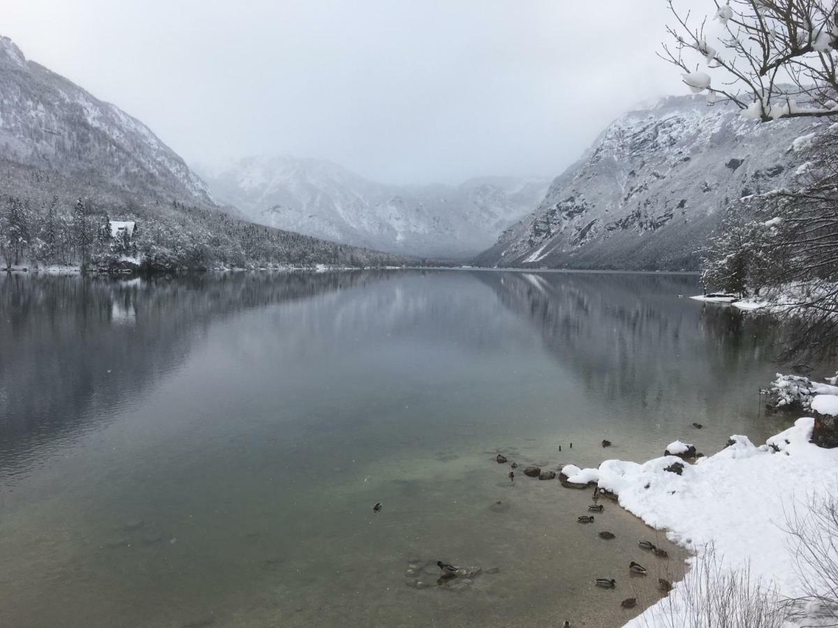 Casa Bohinj Διαμέρισμα Εξωτερικό φωτογραφία